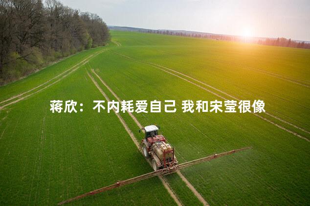 蒋欣：不内耗爱自己 我和宋莹很像